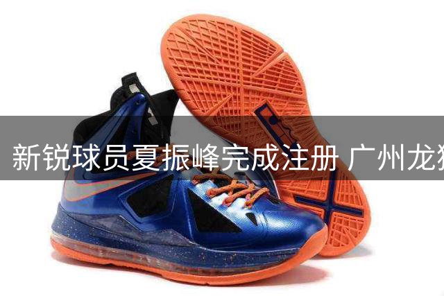新锐球员夏振峰完成注册 广州龙狮迎来新生力量